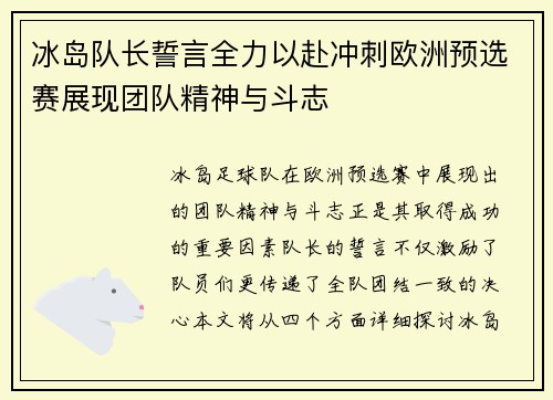 冰岛队长誓言全力以赴冲刺欧洲预选赛展现团队精神与斗志