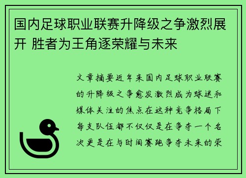 国内足球职业联赛升降级之争激烈展开 胜者为王角逐荣耀与未来